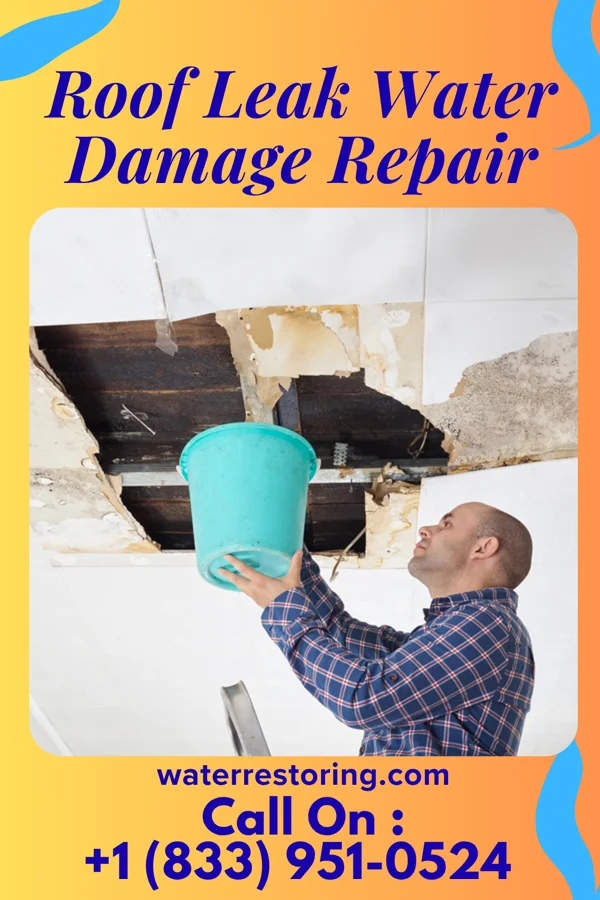 Roof Leak Water Damage Repair in Waynesville, MO